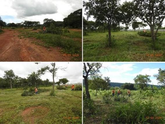 Acompanhamento da supressão de vegetação, destoca e limpeza do terreno