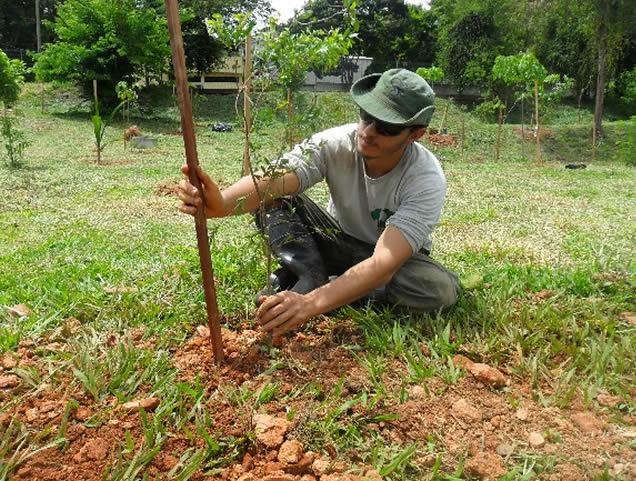 Arborização Parque Ecológico