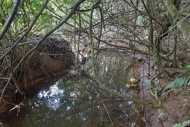 Avaliação de impacto ambiental sobre ruptura de barragem Torto