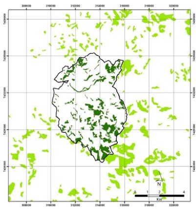 Descrição da biodiversidade de Várzea Paulista (SP)