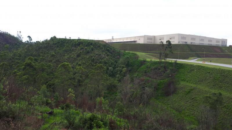 Diagnóstico da vegetação de terreno em Cajamar-SP