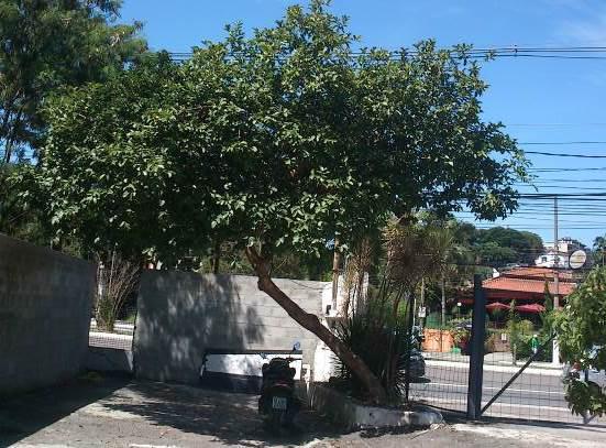 Ponte de Acesso na Moncorvo Filho