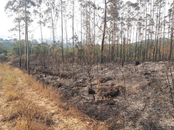 Vistoria em área incendiada Guarulhos