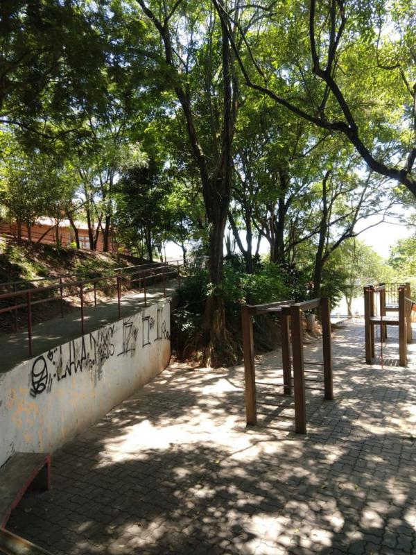 Cadastramento Arbóreo no Itaim Paulista