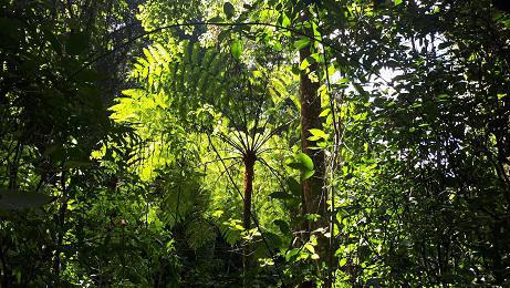 Área de Conservação Ambiental Nazaré Paulista