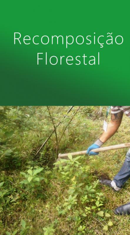 Serviço de Recomposição Florestal